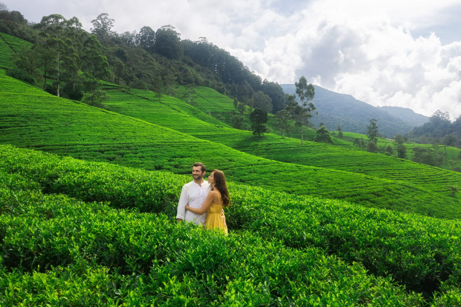 Romantic Sri Lanka (10N/11D)