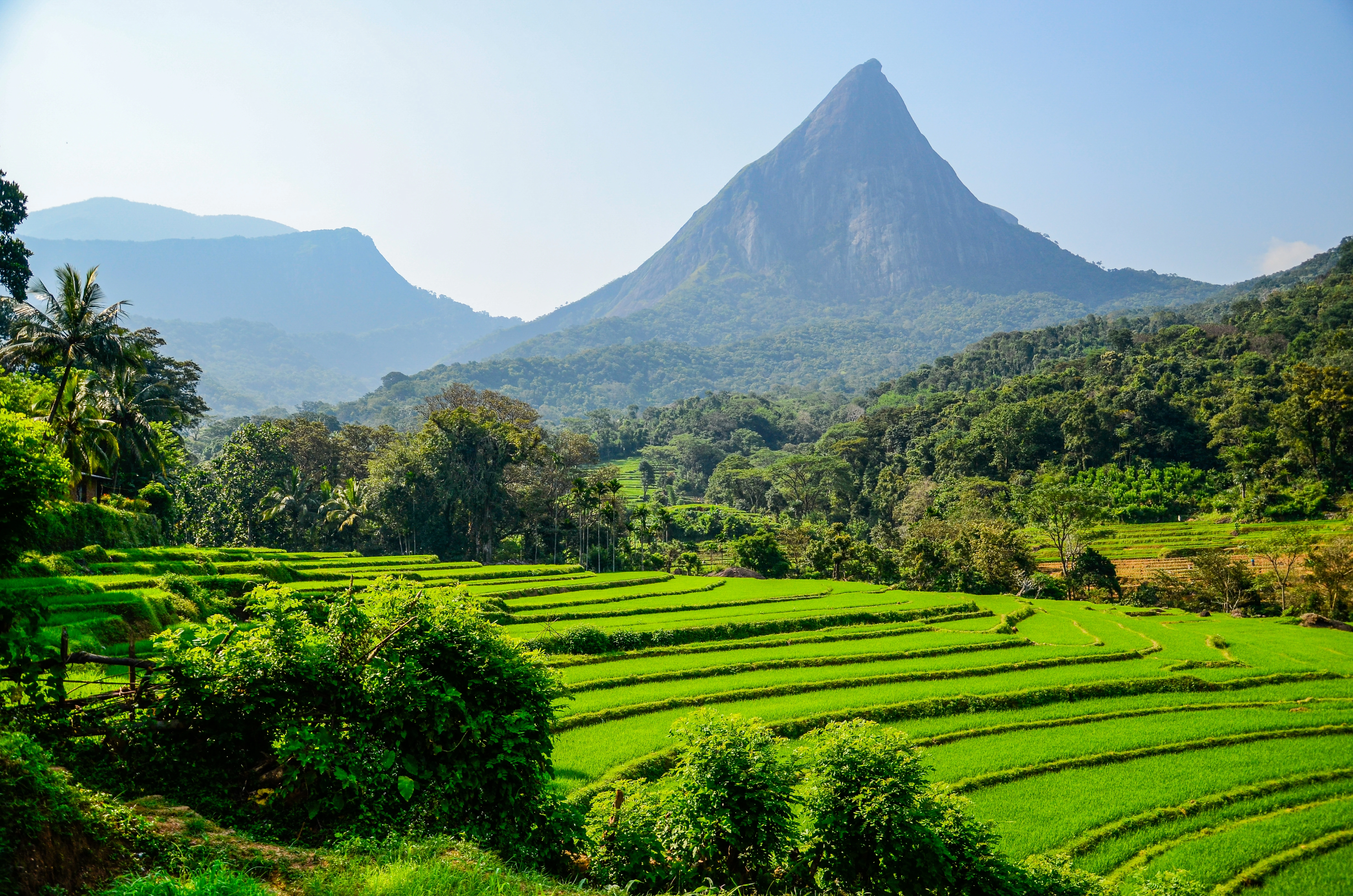 Sri Lanka Highlights & East Coast Discovery (11N/12D)