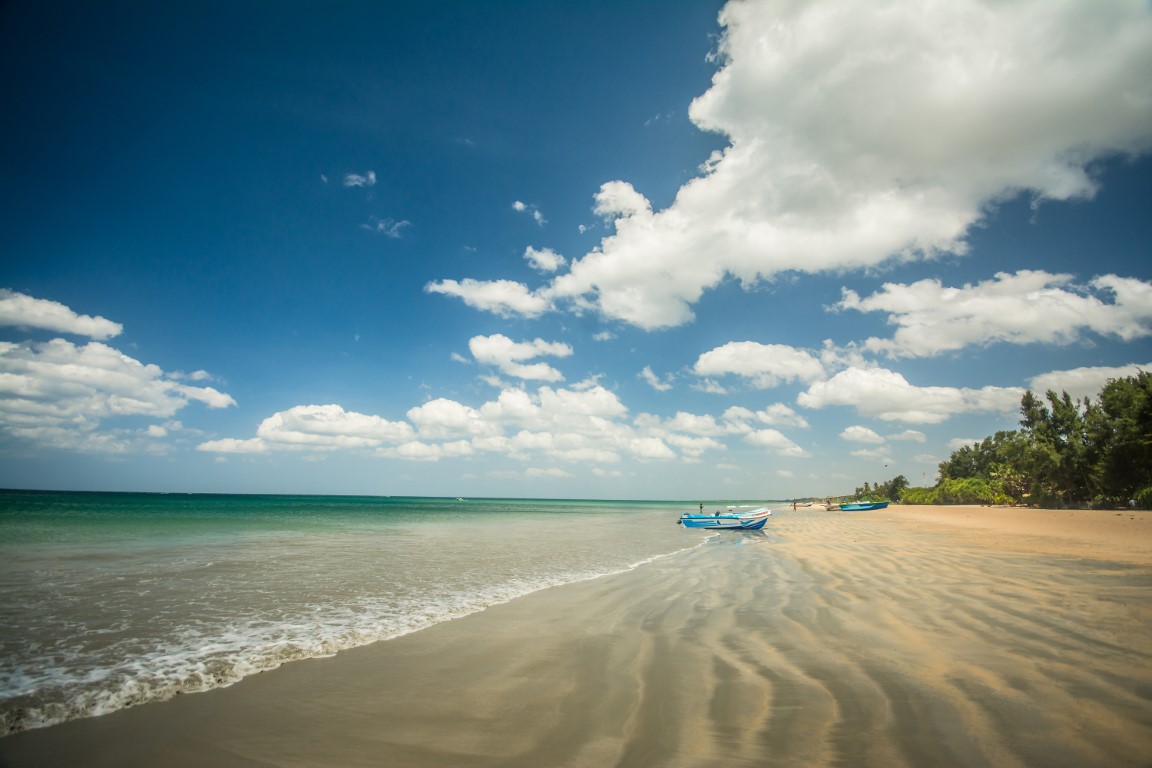 North & East Discovery Tour (09N/10D)