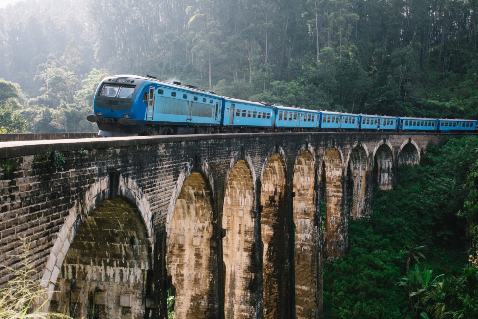 Nuwaraeliya Tea Plantations